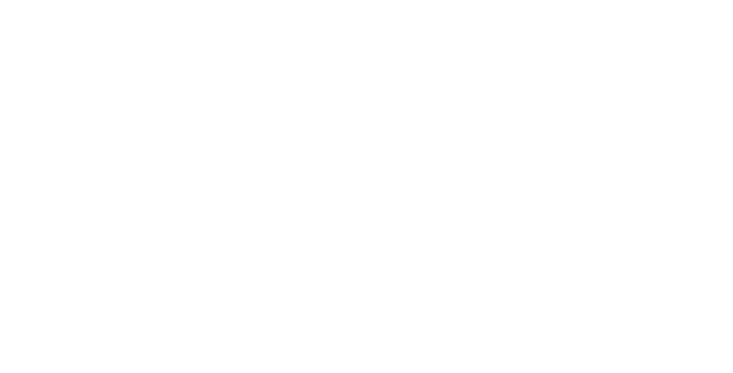 Ako Aotearoa  Logo White