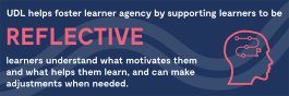 Images describes how UDL helps foster learning agency by supporting learners to be reflective