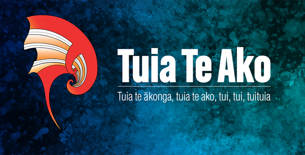 Tuia Te Ako 2025 webinar event