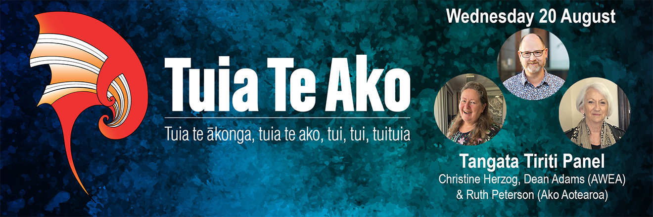 TuiaTeAko 2025 tangata tiriti panel 2