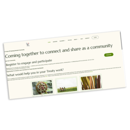 Te Tiriti CoP website image