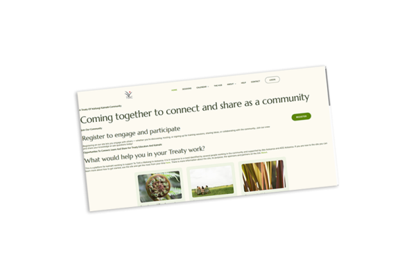 Te Tiriti CoP website image