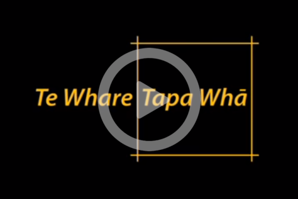 Te Whare Tapa Wha video image