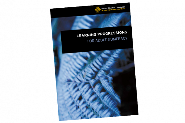 Learning progressions numeracy