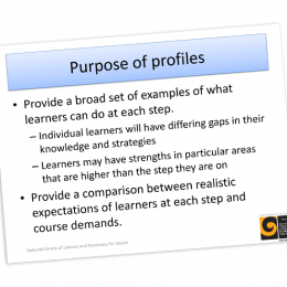 EDUCATOR MATERIAL Make Sense of Numbers Step Profiles