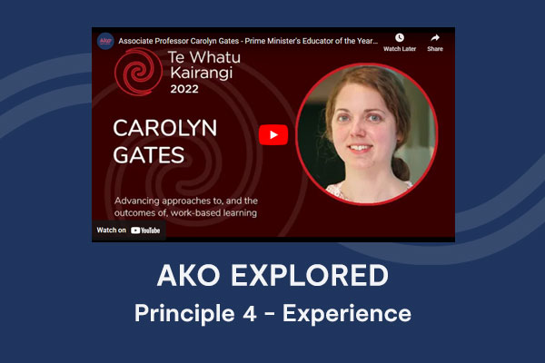 Principle 4 | Experience | Carolyn Gates