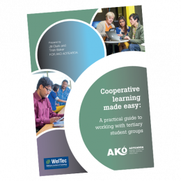 REPORT Co operative learning made easy A practical guide to working with tertiary student groups