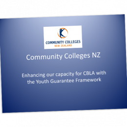 Enhancing our capacity for CBLA with the Youth Guarantee Framework cover image