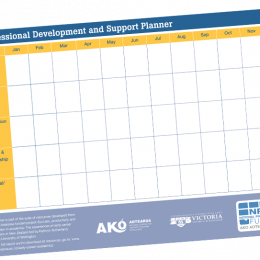 A3 PLANNER Professional Development and Support Planner print
