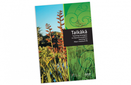 Taikaka Teaching Strategies to improve academic learning for Maori medium ITE