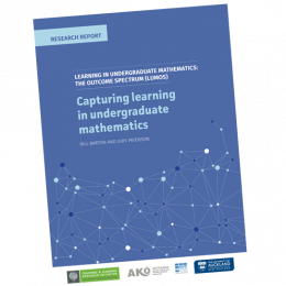 RESEARCH REPORT Learning in Undergraduate Mathematics