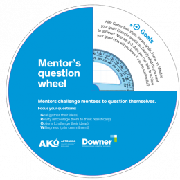 NPF 12 010 a collaborative approach to mentoring question wheel
