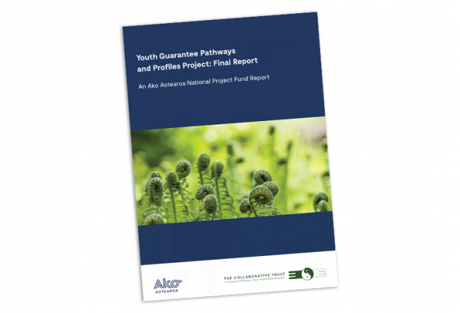Youth guarantee project cover image