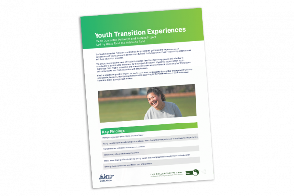 Youth transition experiences cover image