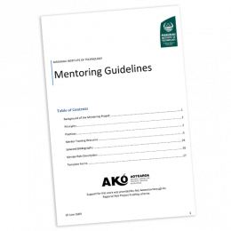 RESEARCH REPORT Mentoring Guidelines