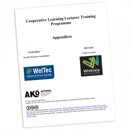 TOOL Cooperative learning lecturer training programme appendices