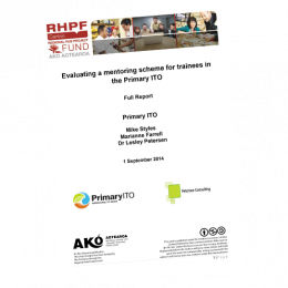RESEARCH REPORT Evaluating a Mentoring Scheme for Trainees in the Primary ITO