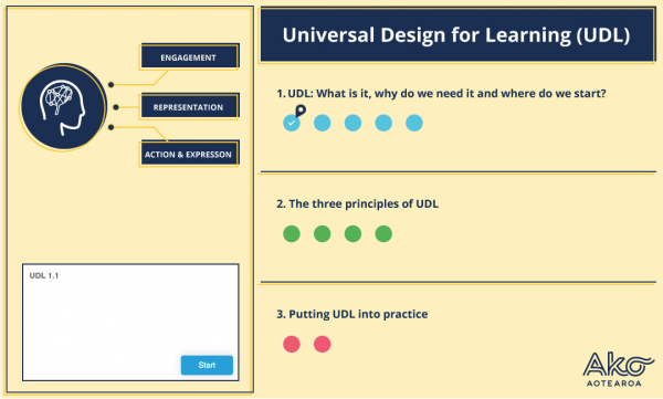 Universal Design for Learning (UDL) 