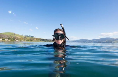 Virginia Watson diving