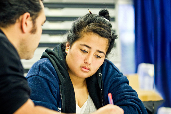 supporting maori cover image