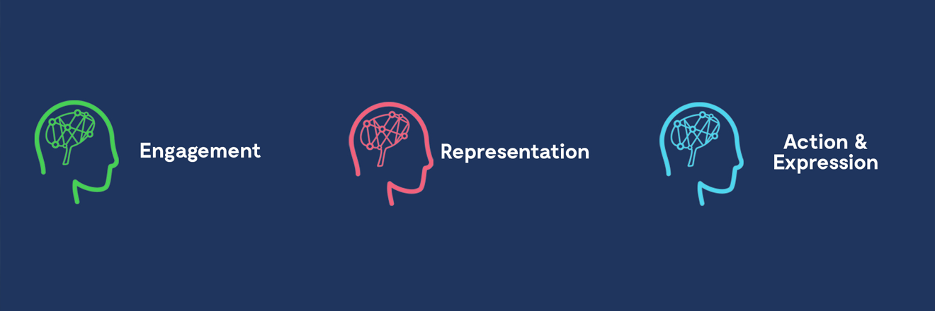 UDL Engagement Representation Action Expression