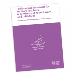 SYNTHESIS REPORT Professional standards for Tertiary Teachers